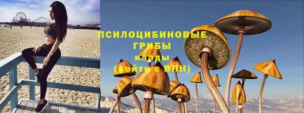 2c-b Алзамай