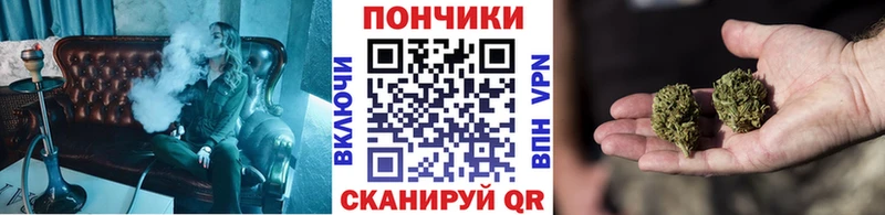 Бошки Шишки гибрид  Щигры 